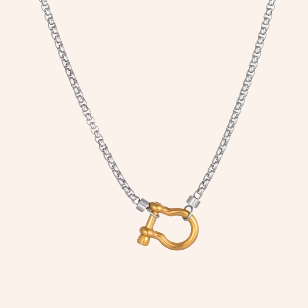 Box Chain Necklace in Mix Metal